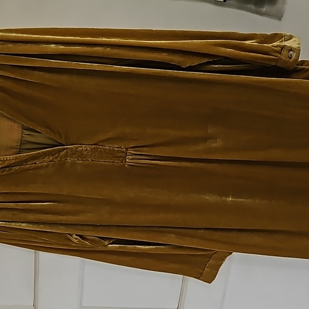 Velvet Anthropologie dress